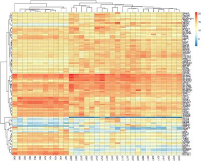 Transcriptome profiling and analysis of patients with esophageal squamous cell carcinoma from Kazakhstan